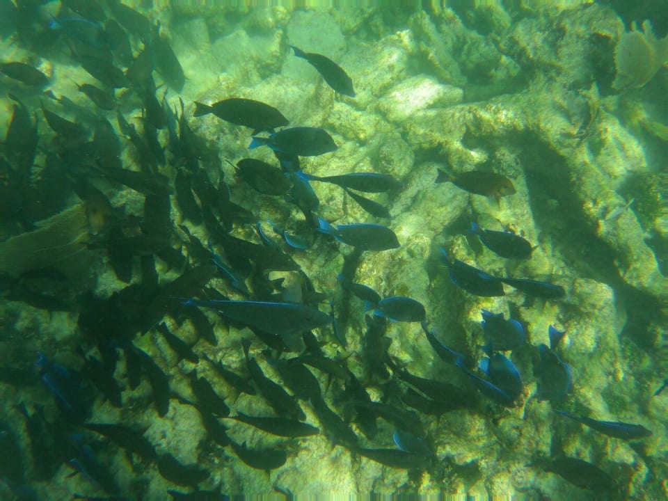 Strand Akumal Bay Beach & Wellness Resort