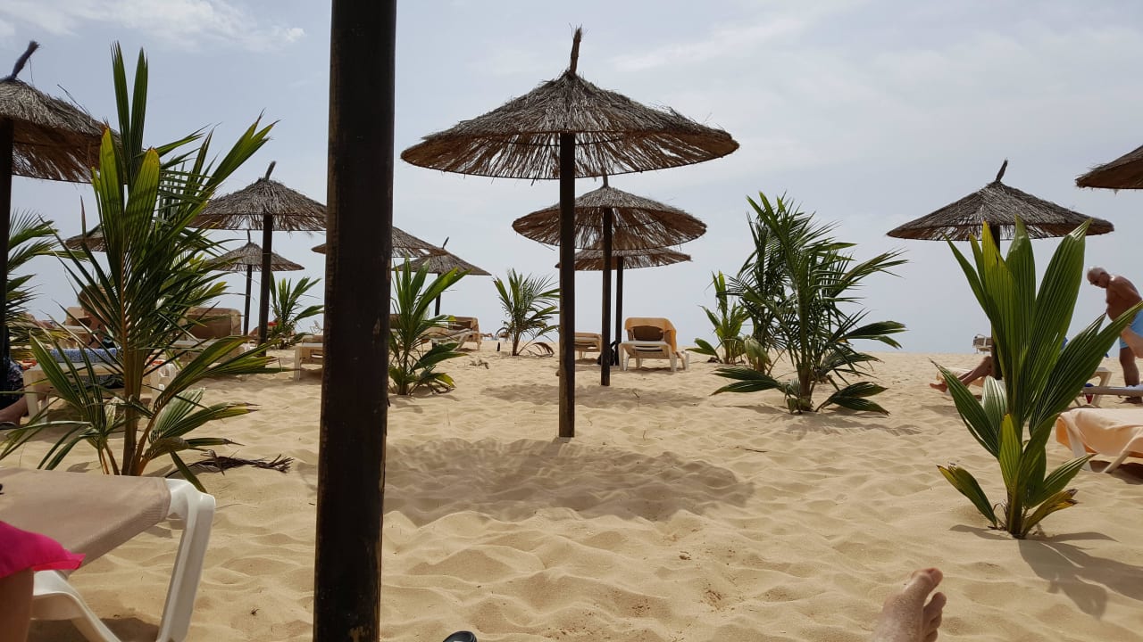 Schirme mit Lücken Hotel Riu Touareg