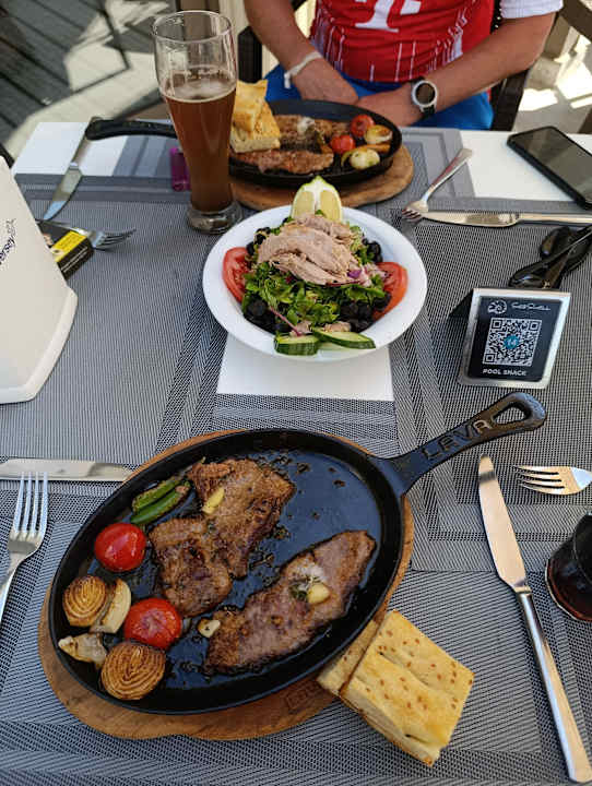 Gastro Seashell Vega