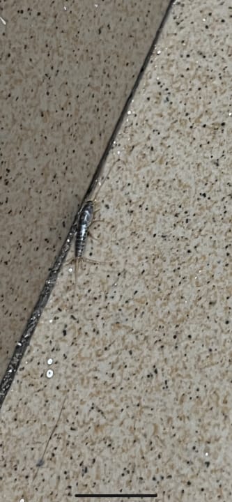 Zimmer Skyview Hotel