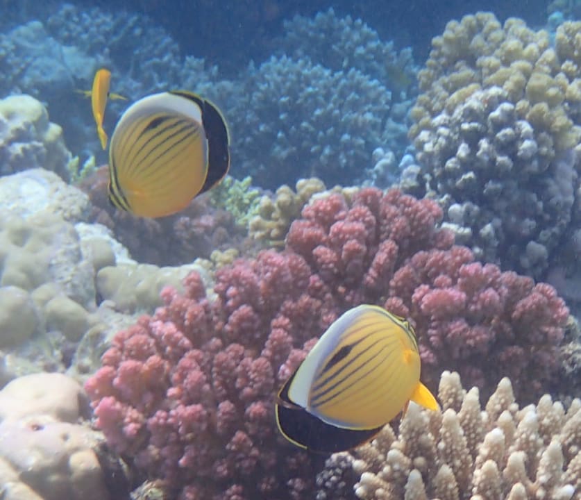 Sport & Freizeit Grand Makadi