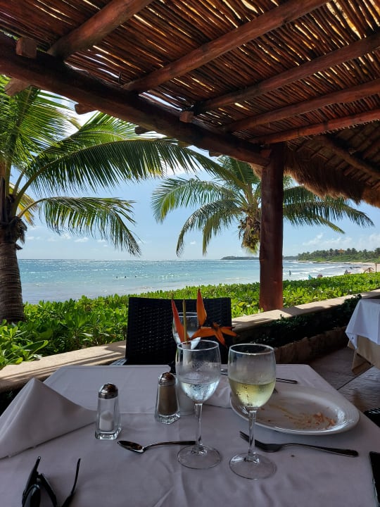 Gastro Akumal Bay Beach & Wellness Resort