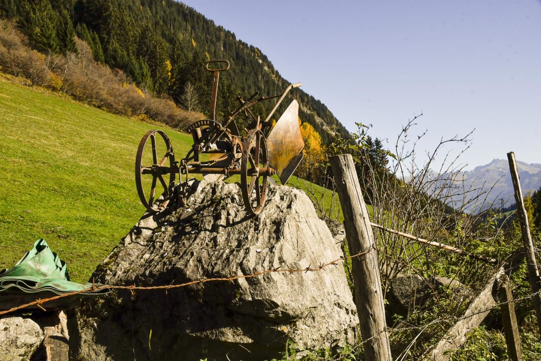 Garten Alphotel Tyrol
