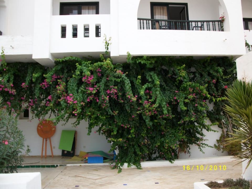 Hotel Aladin Hotel Seabel Aladin Djerba