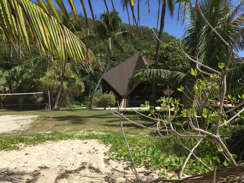 Volleyballplatz Hotel New Emerald Cove