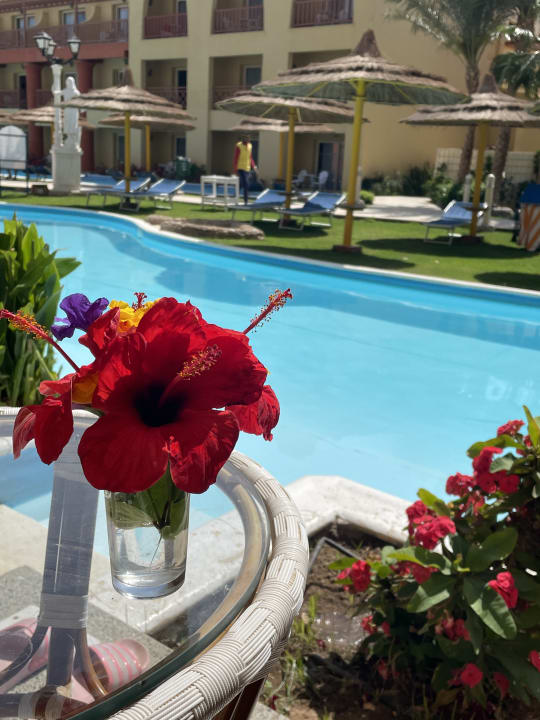 Pool Hotel Titanic Palace