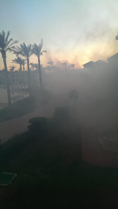 Giftige Gase tägl nachmittags in ganzer Anlage... Cleopatra Luxury Resort Makadi Bay
