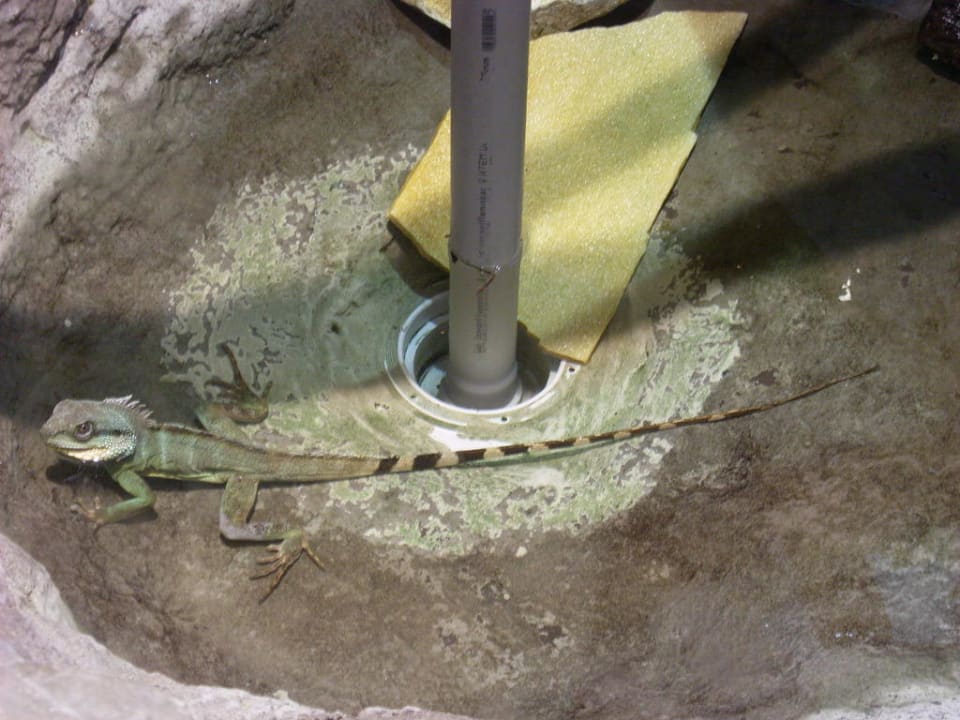 Dschungelland Ferienwohnungen Ferienpark Weissenhäuser Strand