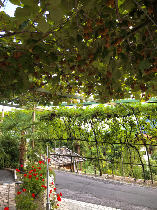 Außenansicht Apartments Oberdorner