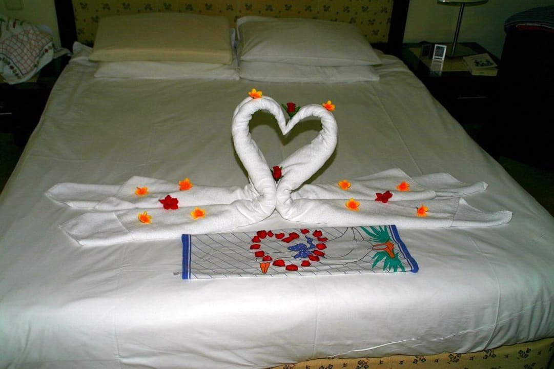 Zimmer Asteria Collection Side