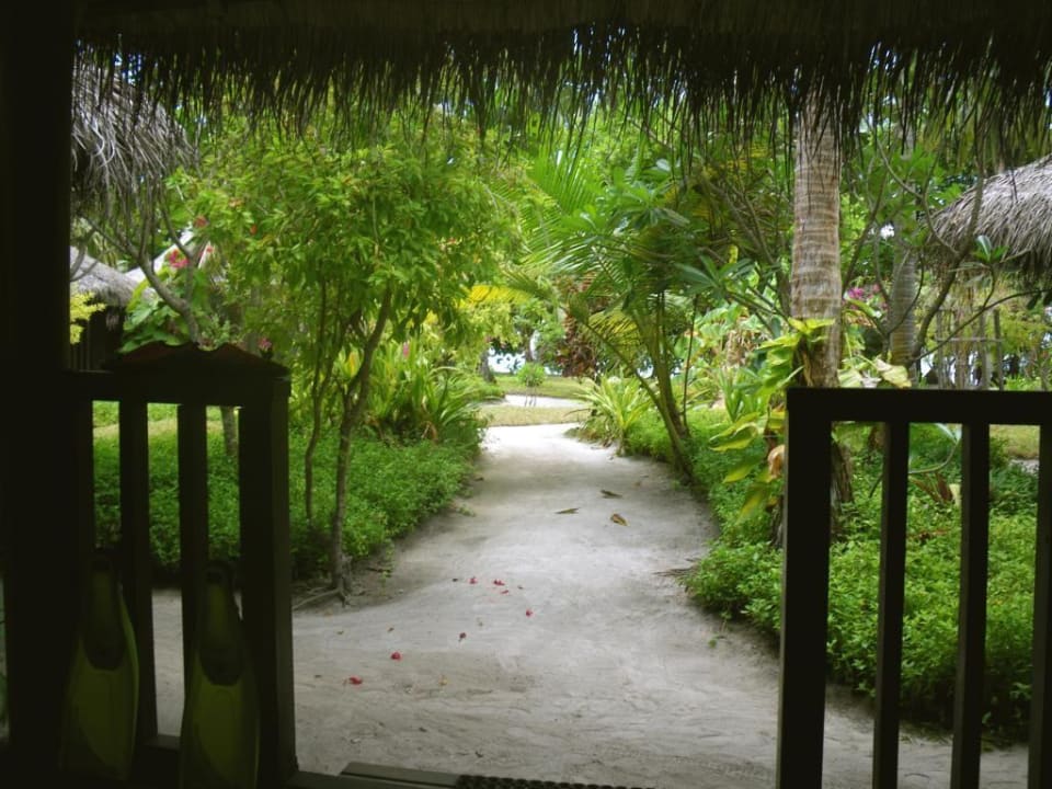 Bungalow 100 Kuramathi Maldives