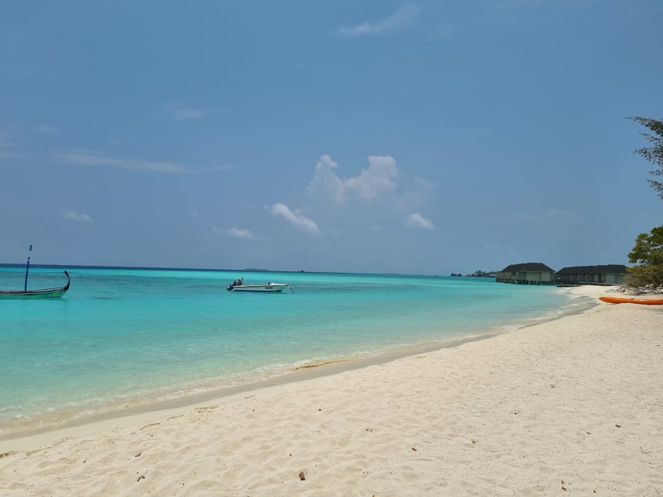 Strand Summer Island Maldives