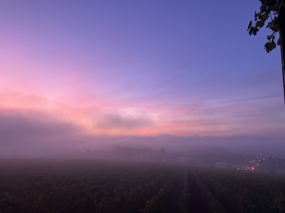 Ausblick Relais & Châteaux Hotel Burg Schwarzenstein