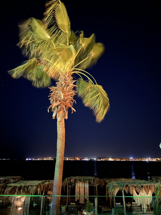 Gastro Fort Arabesque Resort, Spa & Villas