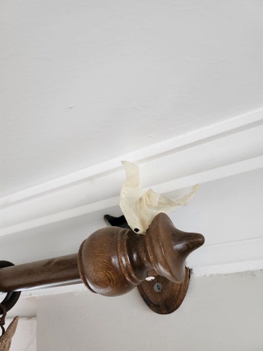 Zimmer Hawaii Suite Beach Hotel