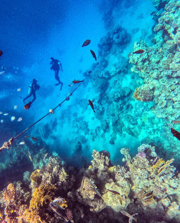 Sport & Freizeit Steigenberger Coraya Beach - Adults only