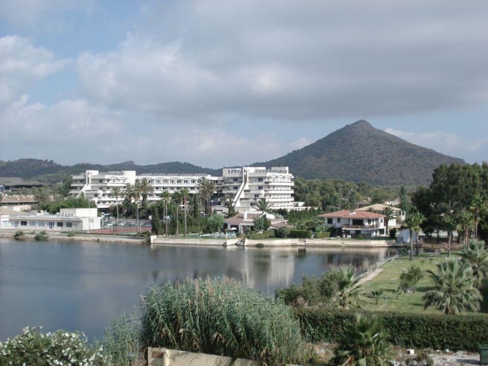 Blick vom Balkon Grupotel Amapola