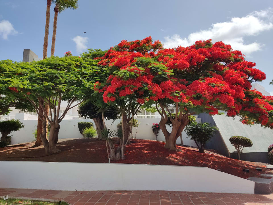 Ausblick Hotel Riu Paraiso Lanzarote