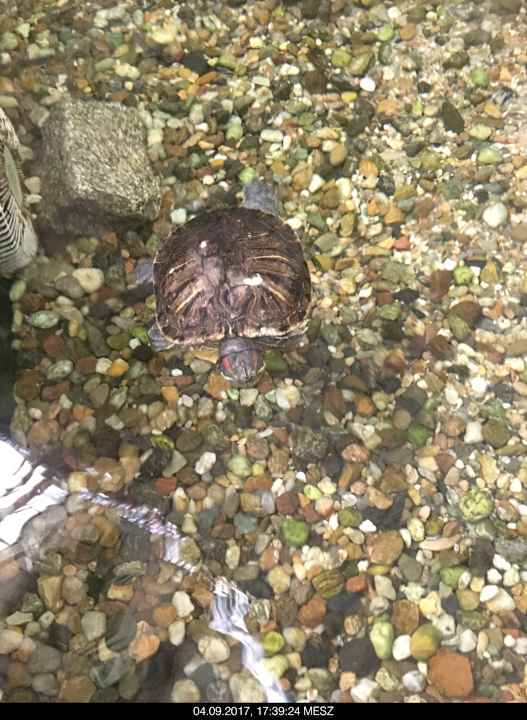 Sonstiges Tropical Islands Resort