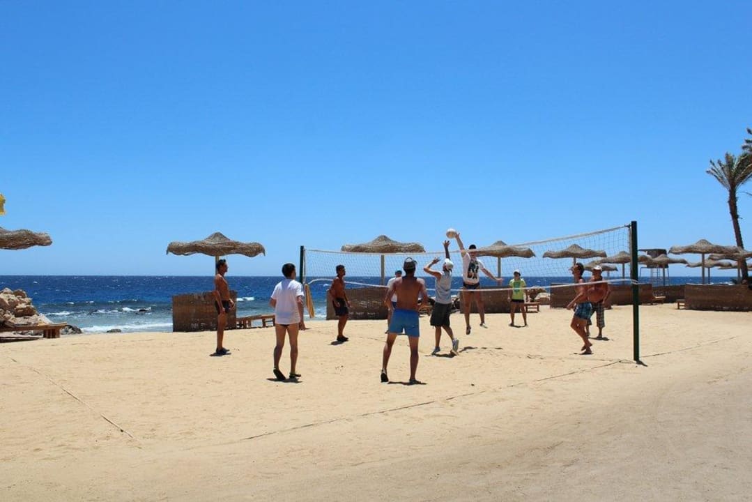 Волейбол Pickalbatros Citadel Resort