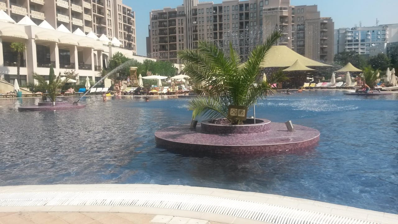 Am Pool Barceló Royal Beach