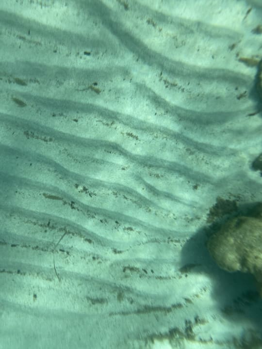 Strand Hipotels Hipocampo Playa