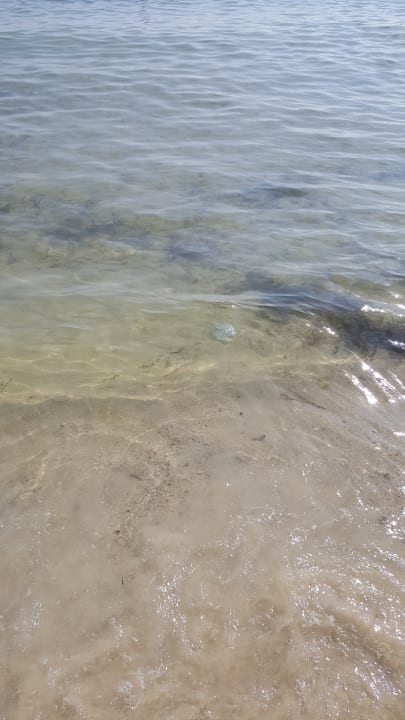 Strand El Ksar Resort & Thalasso