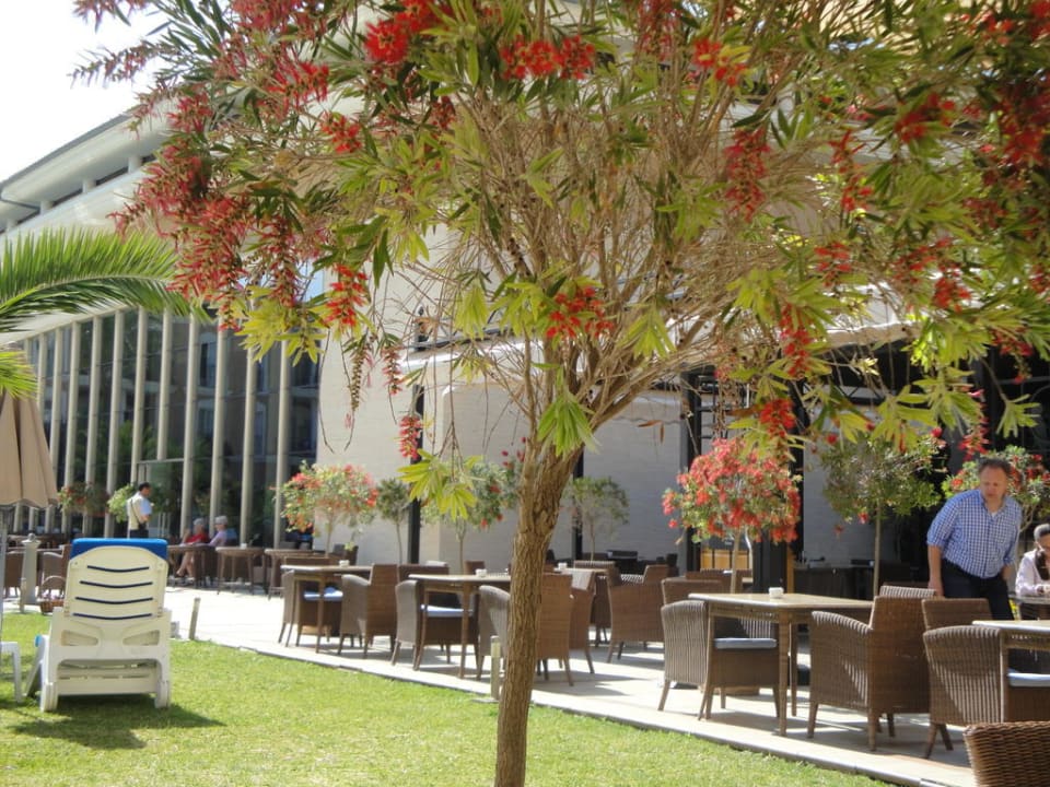 Blick von Frühstücksterrasse Grupotel Playa de Palma Suites & Spa