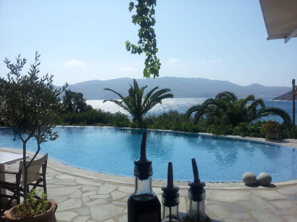 Pool Albatros