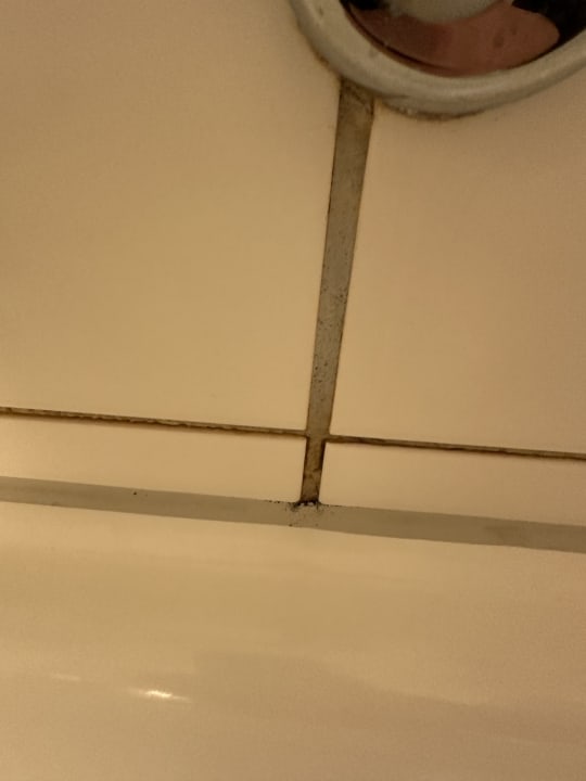 Zimmer Radisson Blu Scandinavia Hotel