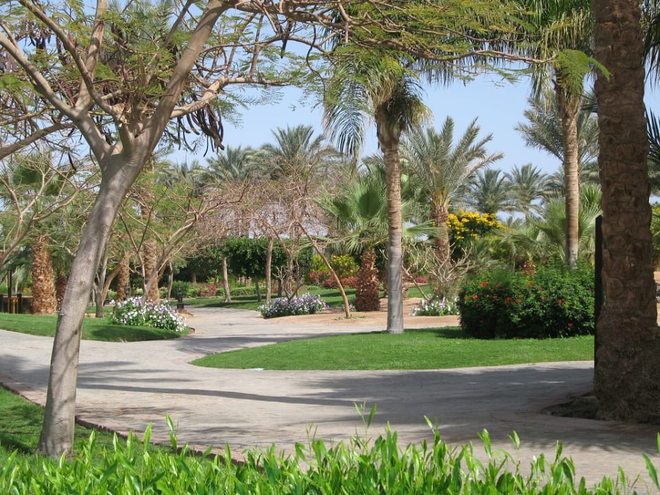 Gartenanlage Steigenberger ALDAU Beach Hotel