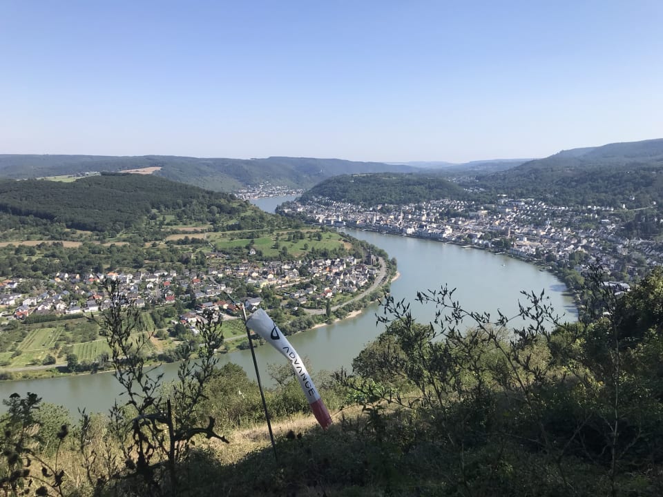 Ausblick Rheinhotel Lilie