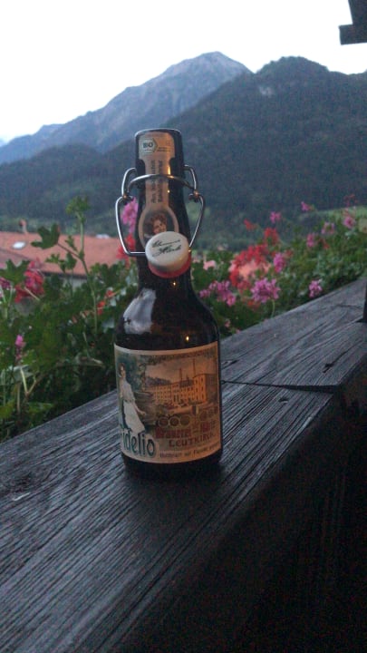 Ausblick Gästehaus Wineberger