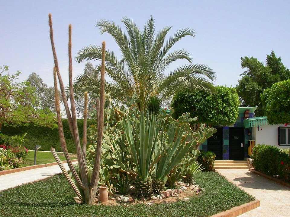 Garten Ghazala Beach