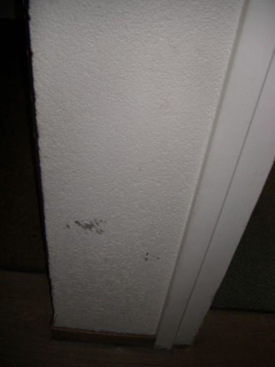 Wand im Wohnzimmer zum Flur Center Parcs De Kempervennen