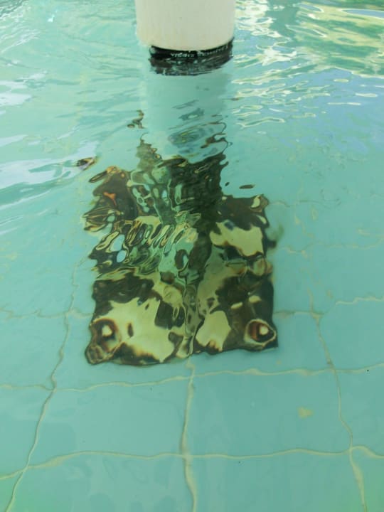 Baby / Kleinkinderpool ! Club Resort Atlantis