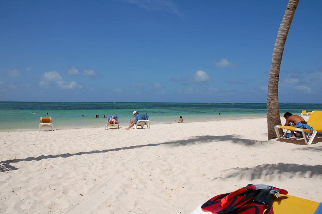 Schön Catalonia Punta Cana - All Inclusive