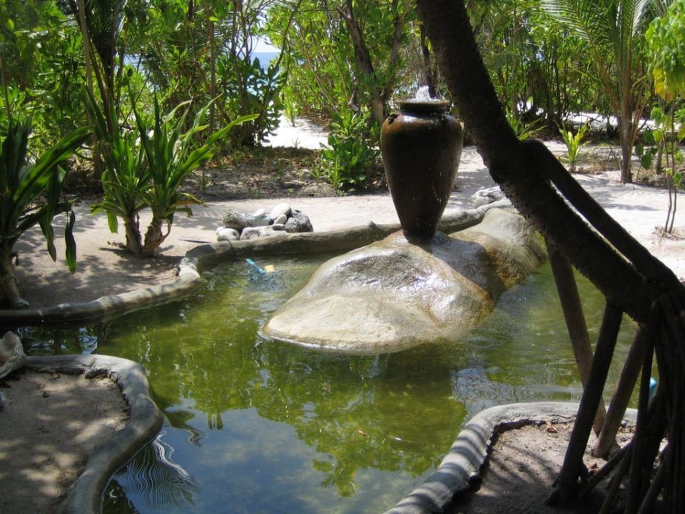 im ayurveda camp Adaaran Select Meedhupparu Island Resort - Premium All Inclusive