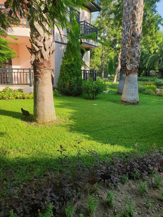 Gartenanlage Starlight Resort Hotel