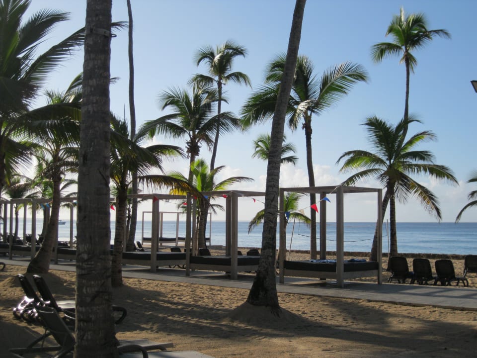 Strand Hotel Viva Dominicus Beach by Wyndham - All Inclusive Resort