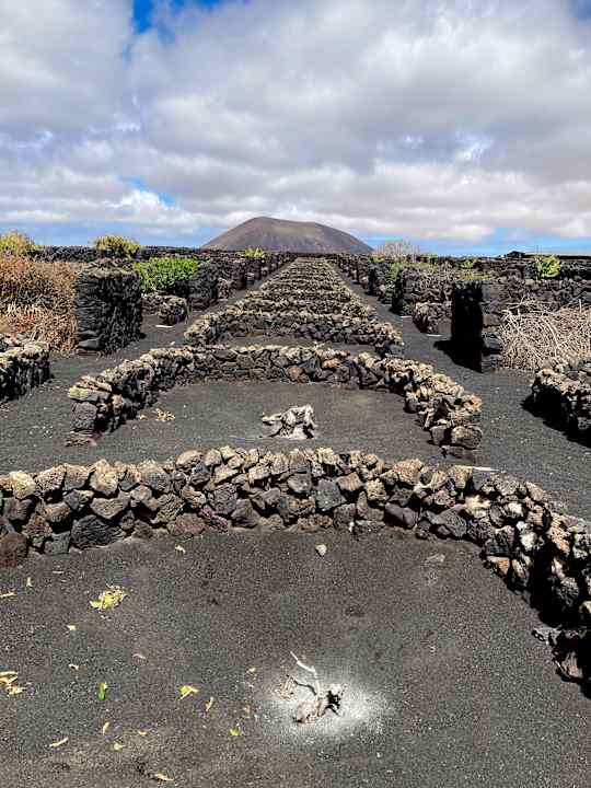 Gartenanlage Finca de la Florida