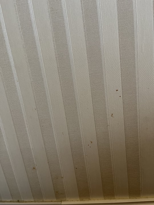 Zimmer The Plaza Bodrum