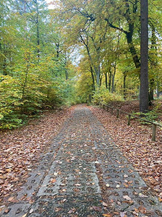 Sonstiges Wave Miedzyzdroje Resort & Spa