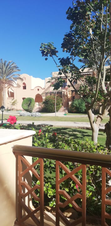 Gartenanlage Steigenberger Coraya Beach - Adults only