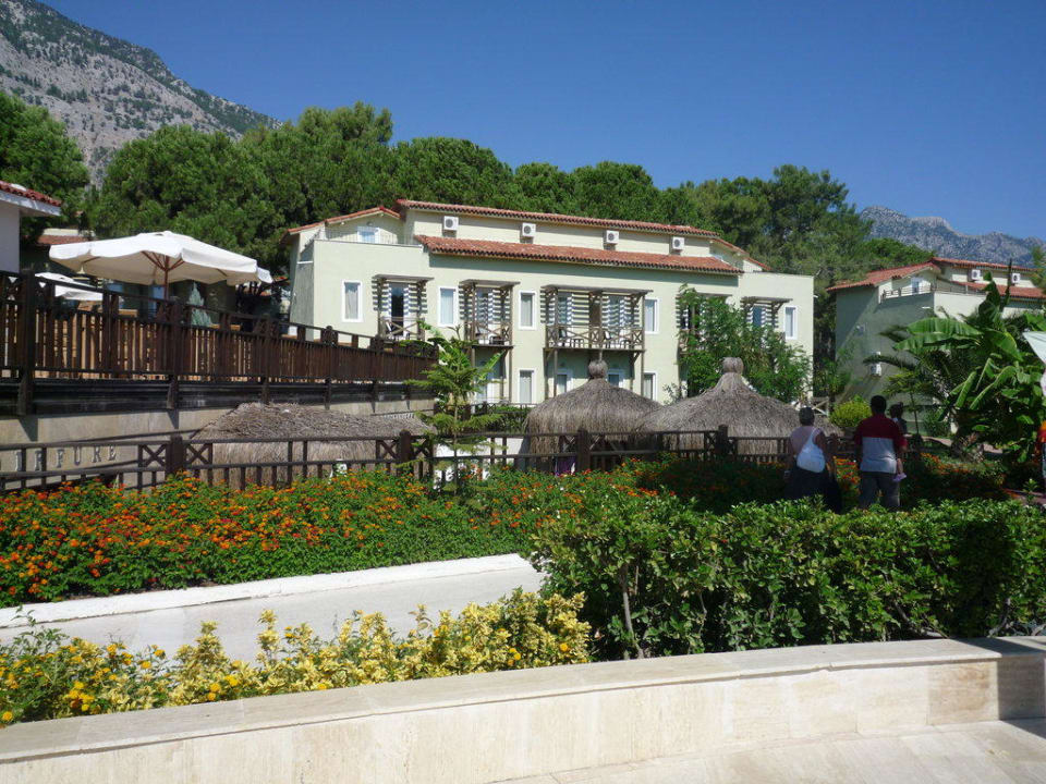 Территория отеля Crystal Flora Beach Resort