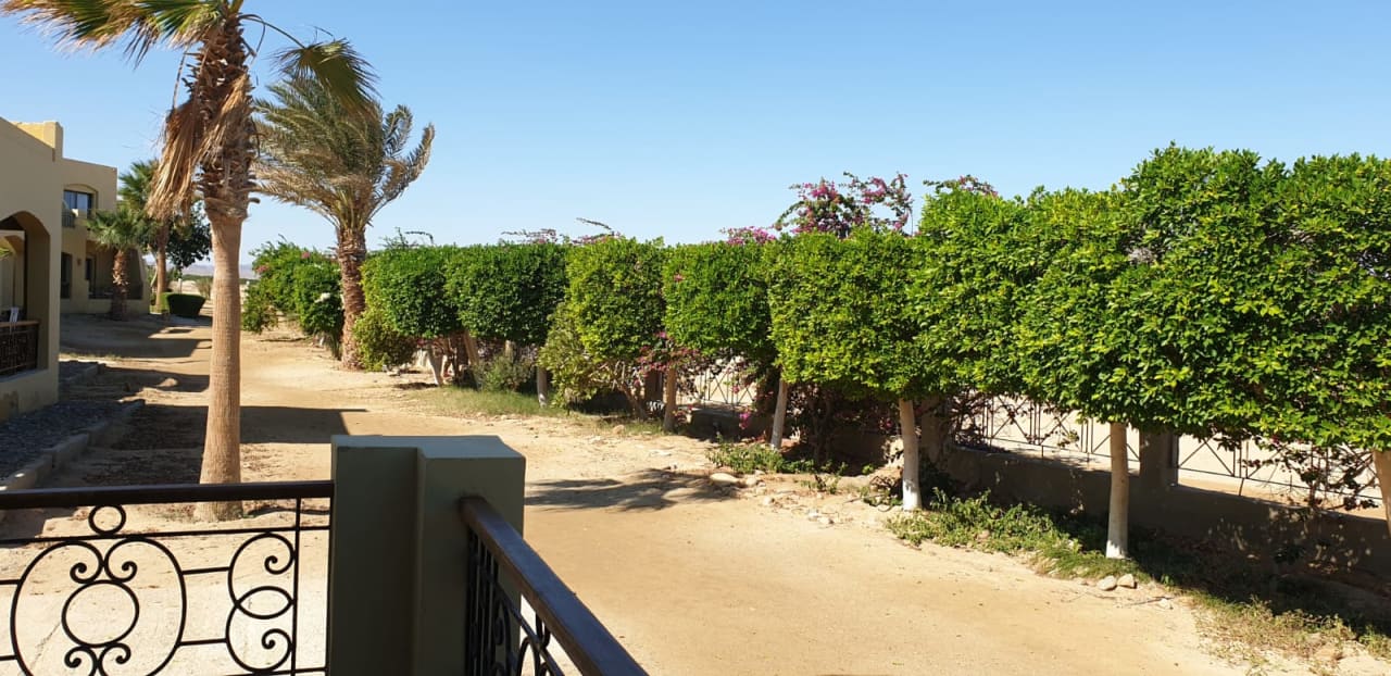 Ausblick Three Corners Fayrouz Plaza Beach Resort