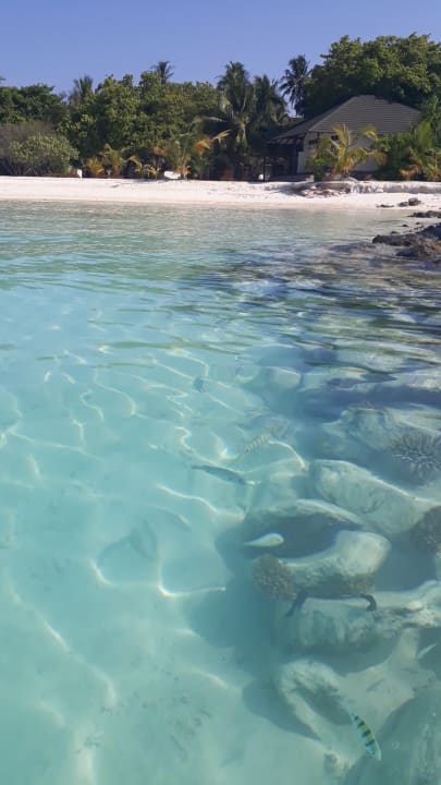 Strand Adaaran Select Meedhupparu Island Resort - Premium All Inclusive