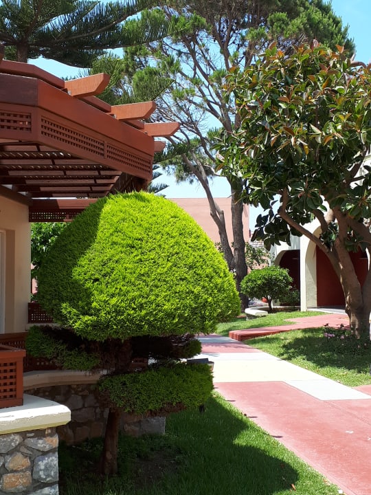 Gartenanlage Eliros Mare
