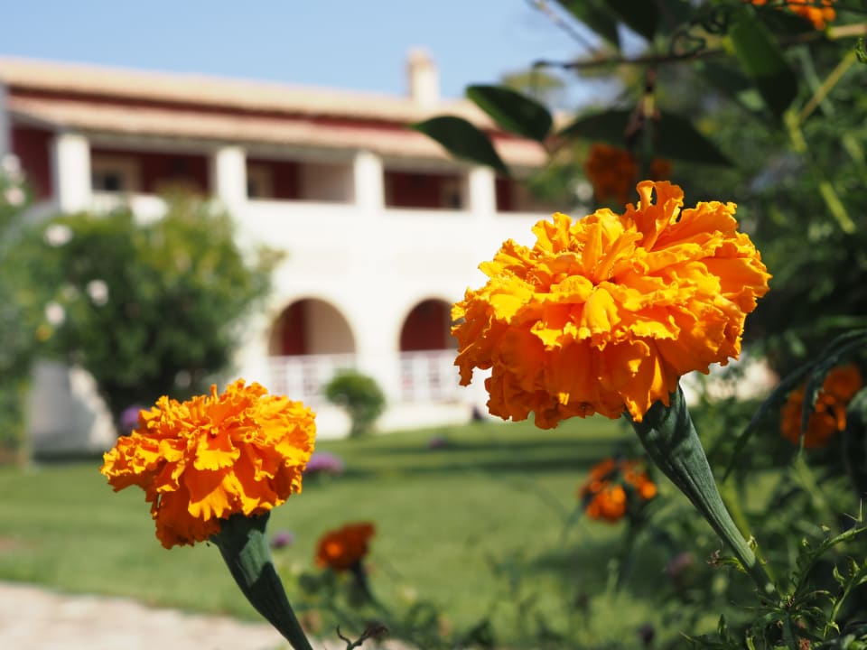 Gartenanlage St. George's Bay Country Club