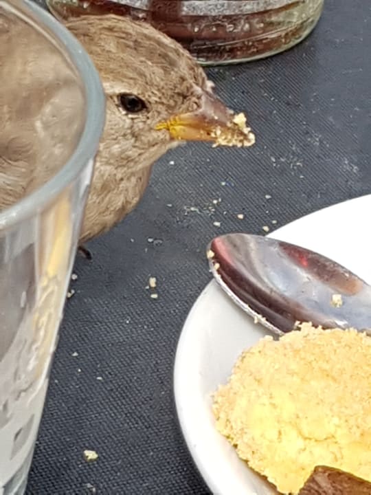 Sonstiges At Sea Apartments